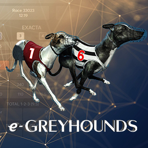 e-Greyhounds-300x300px